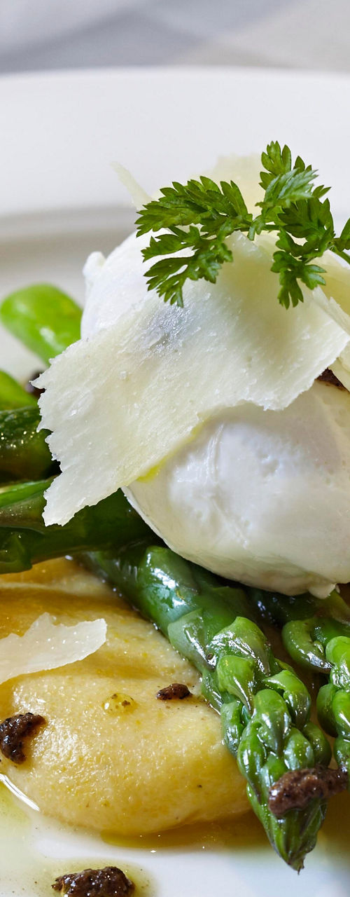 Elegant asparagus dish with poached egg