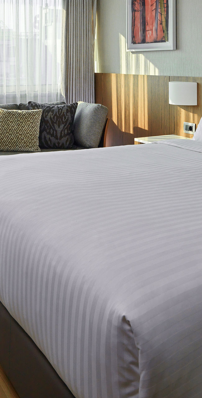 Modern hotel room with cozy furnishings