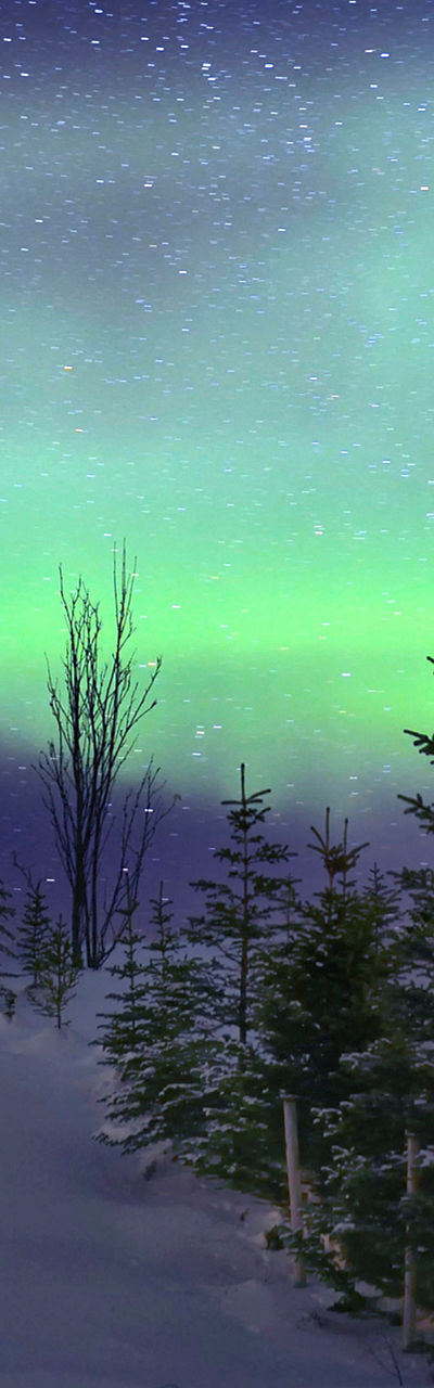 Red cabin under northern lights in snowy landscape