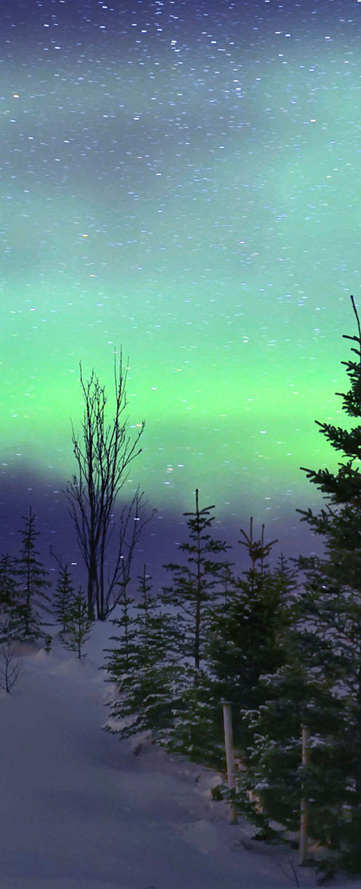 Red cabin under northern lights in snowy landscape