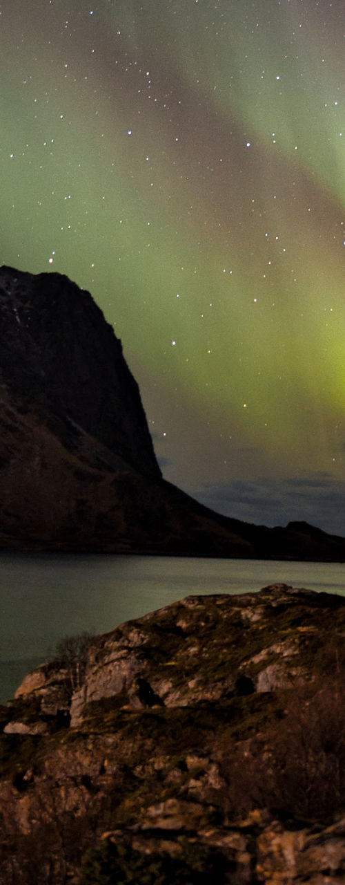 Northern lights over rocky coastal landscape