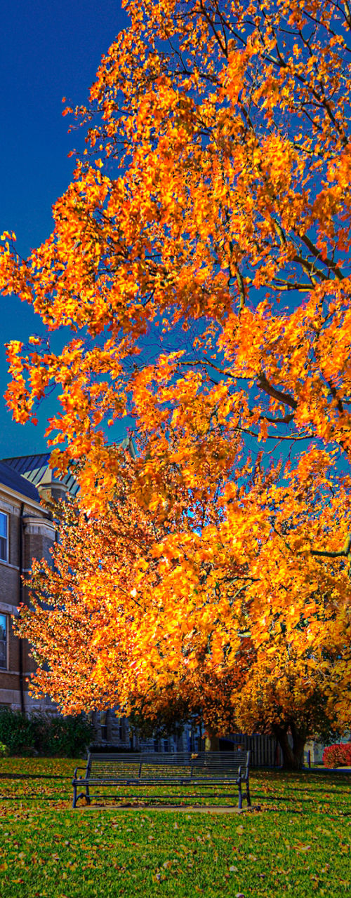 Historic courthouse with autumn foliage