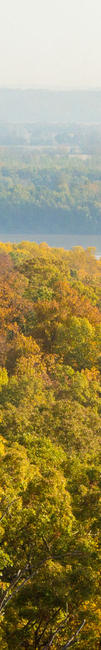 Scenic autumn forest overlooking a river