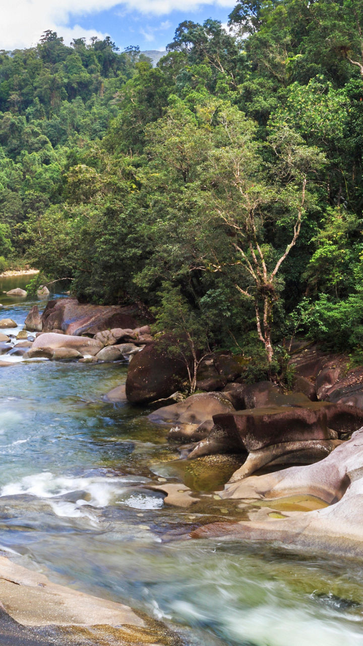 Babinda Boulders & Josephine Falls