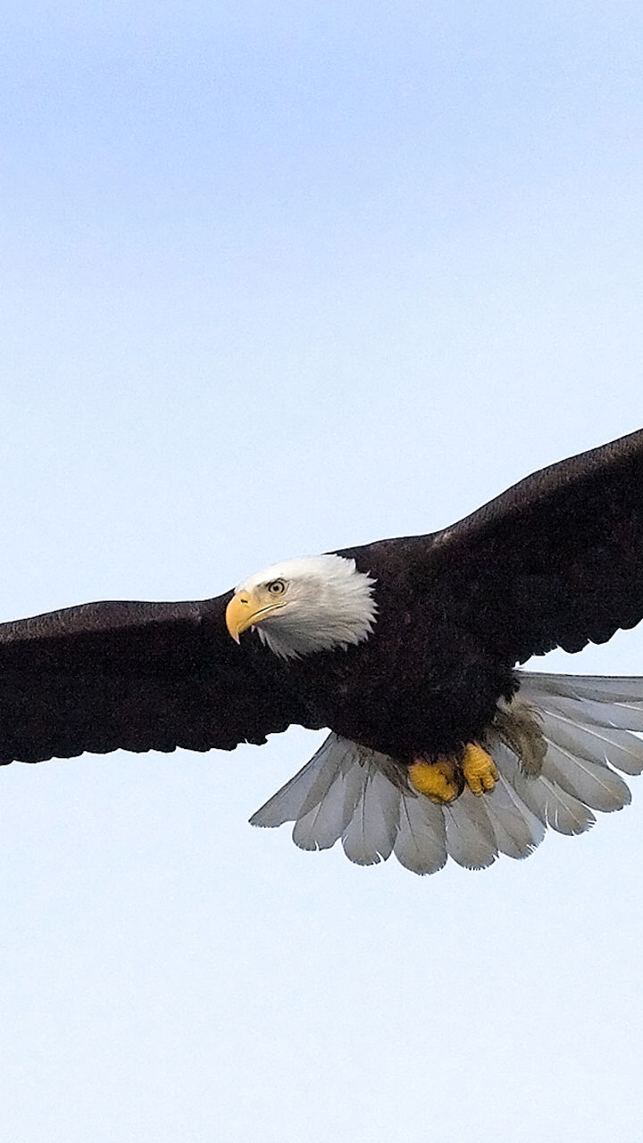 Alaskan Legends & Wildlife Cruise