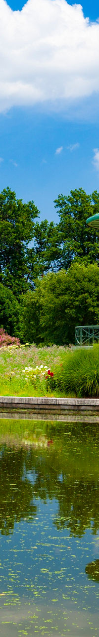 Scenic park with pavilion and pond