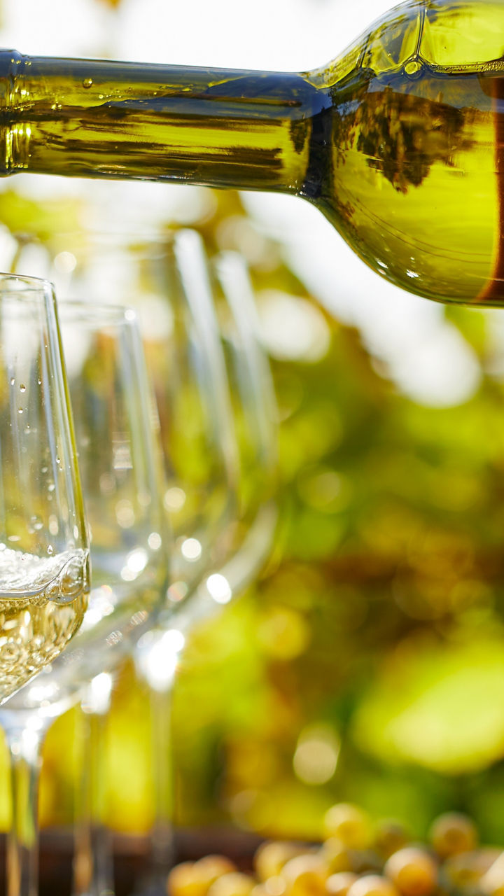 Karaman Winery