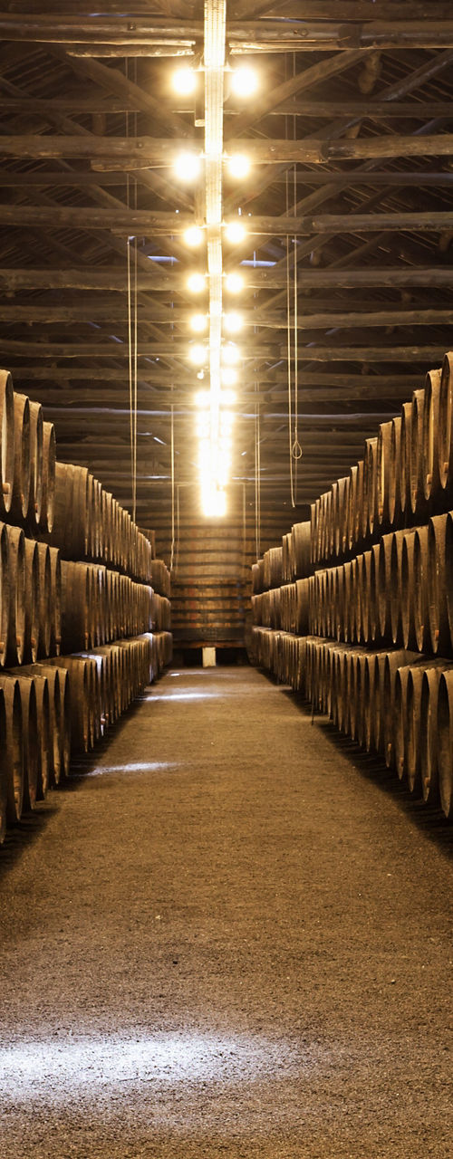 Wooden barrels in a dimly lit cellar