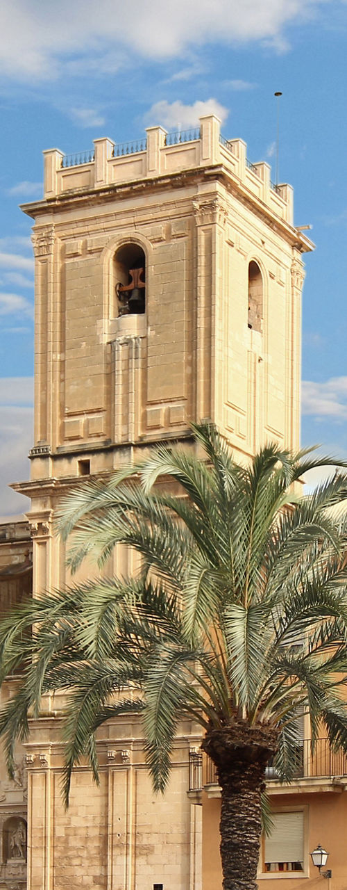 Historic church with palm trees in plaza