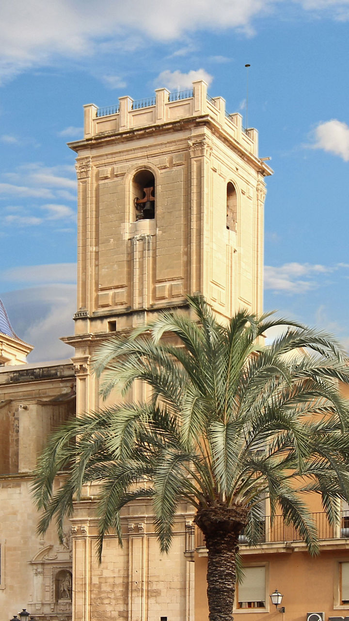 Palm Trees & Gardens of Elche