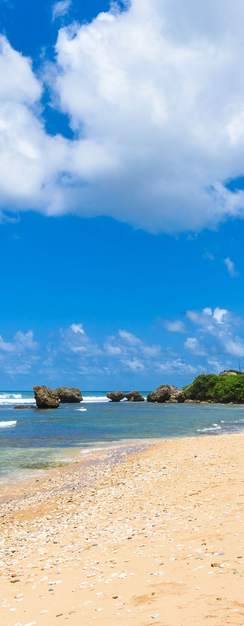 Tropical Beach with Rock Formation and Palms