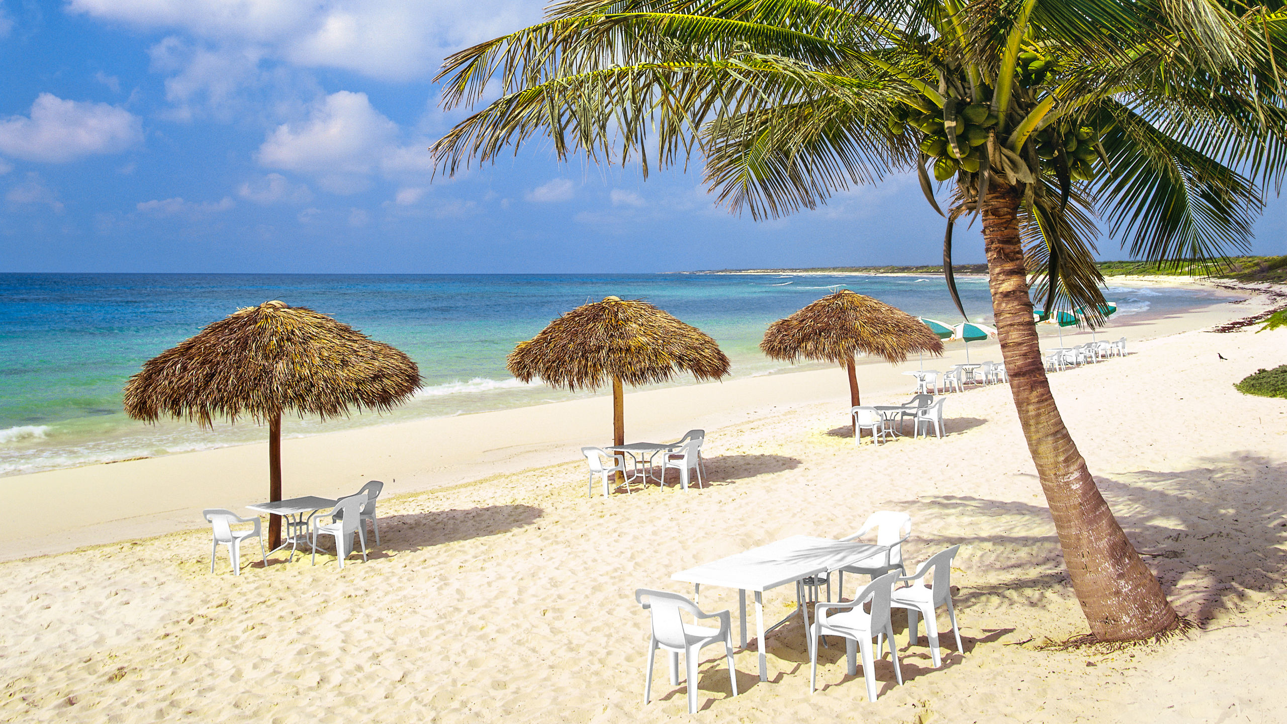 Panama Canal & Central America