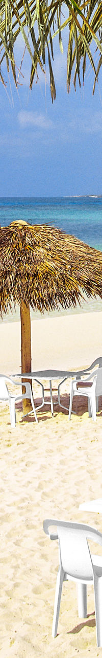 Tropical beach with palm trees and umbrellas