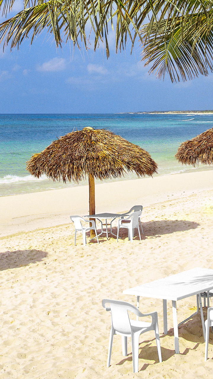 Tropical beach with palm trees and umbrellas