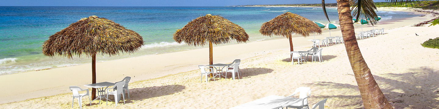 Tropical beach with palm trees and umbrellas
