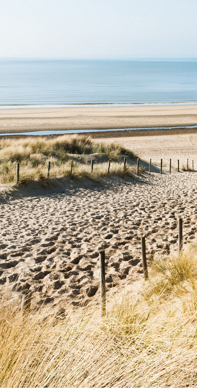 Sandy beach with grassy dunes