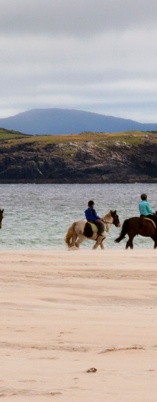 Group horseback riding along coastal beach