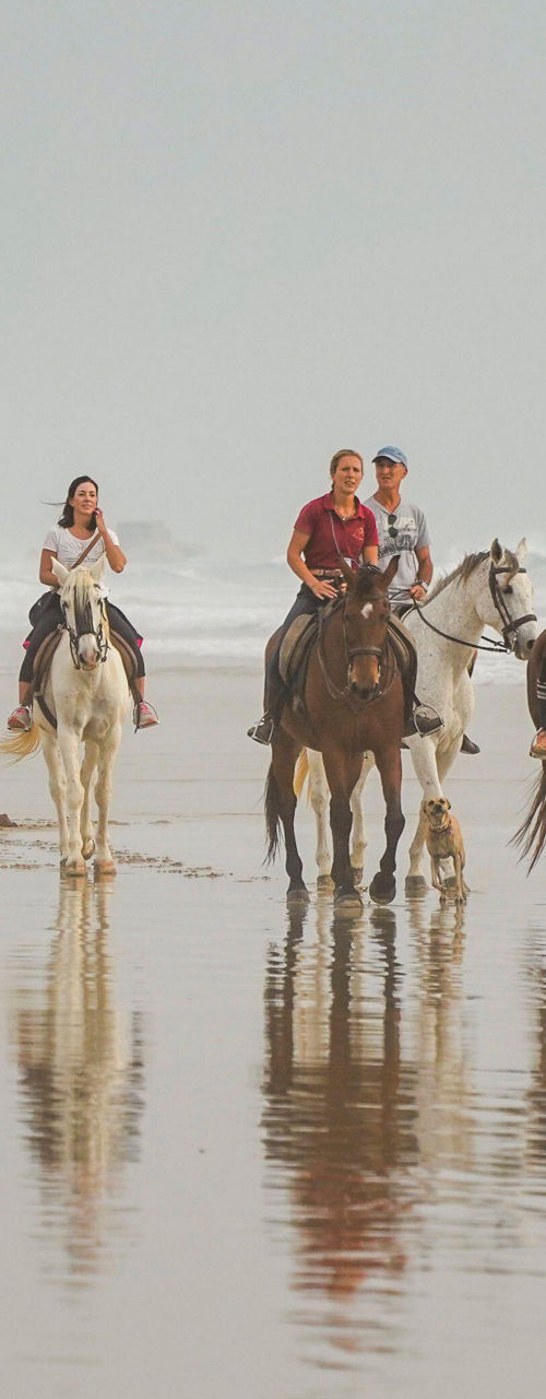 Group Horseback Riding Along Misty Beach Shore