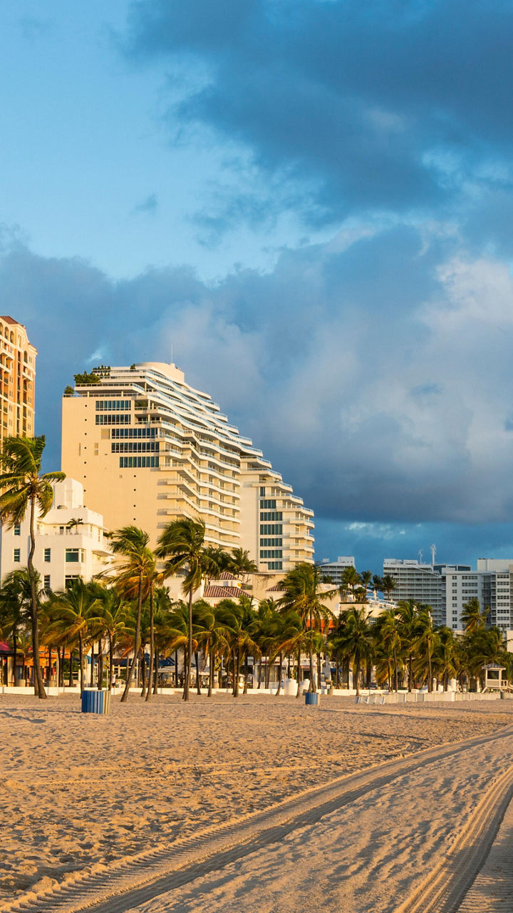 Beachfront cityscape with palm trees at sunset
