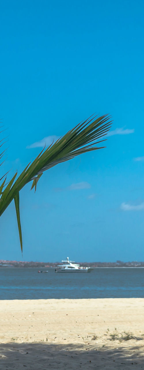 Tropical beach with palm trees and ocean view