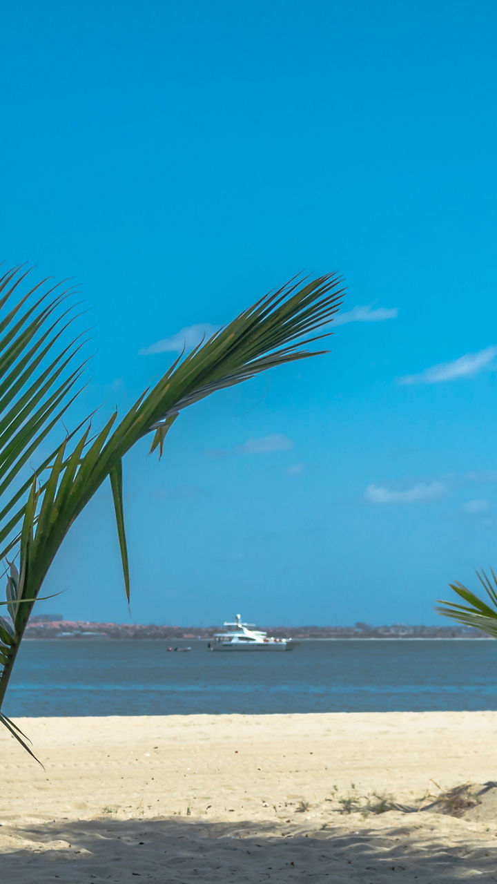 Tropical beach with palm trees and ocean view