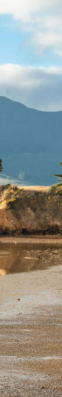 Scenic coastal landscape with lush greenery