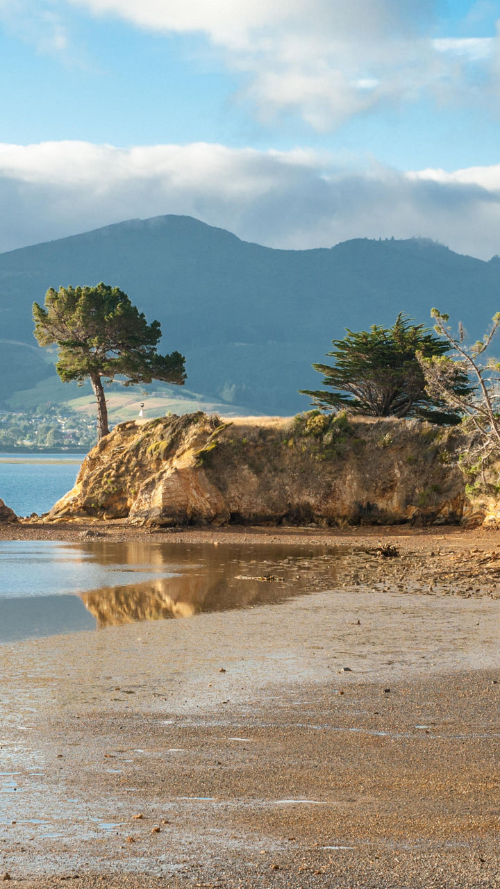 Scenic coastal landscape with lush greenery