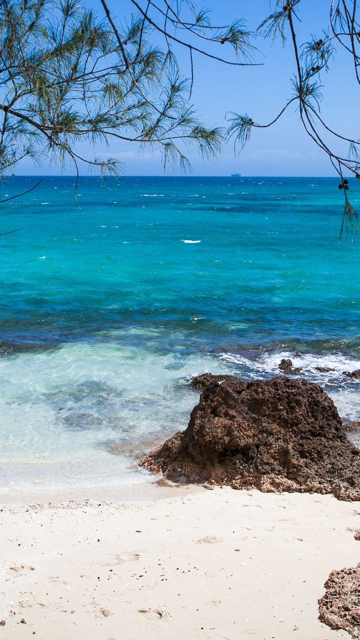 Vistas & Wildlife of Prison Island