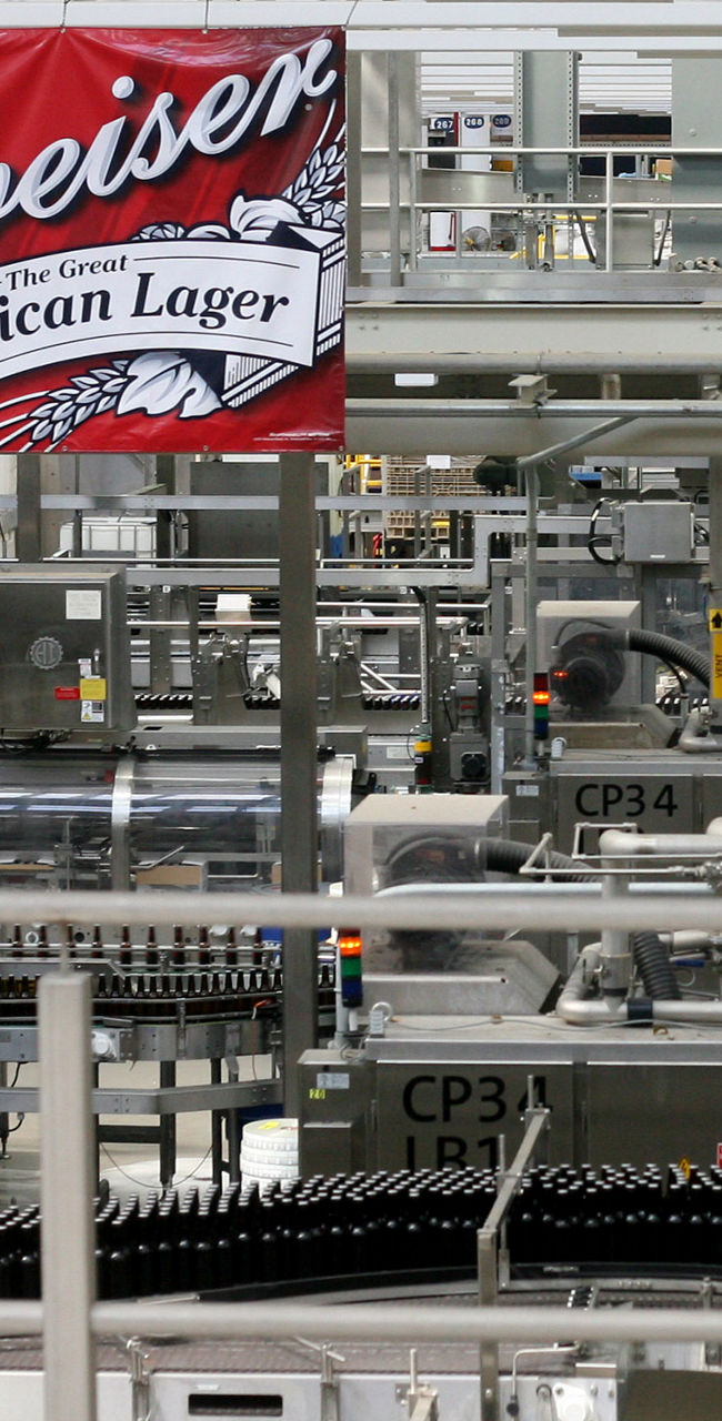 Budweiser brewery production line interior view