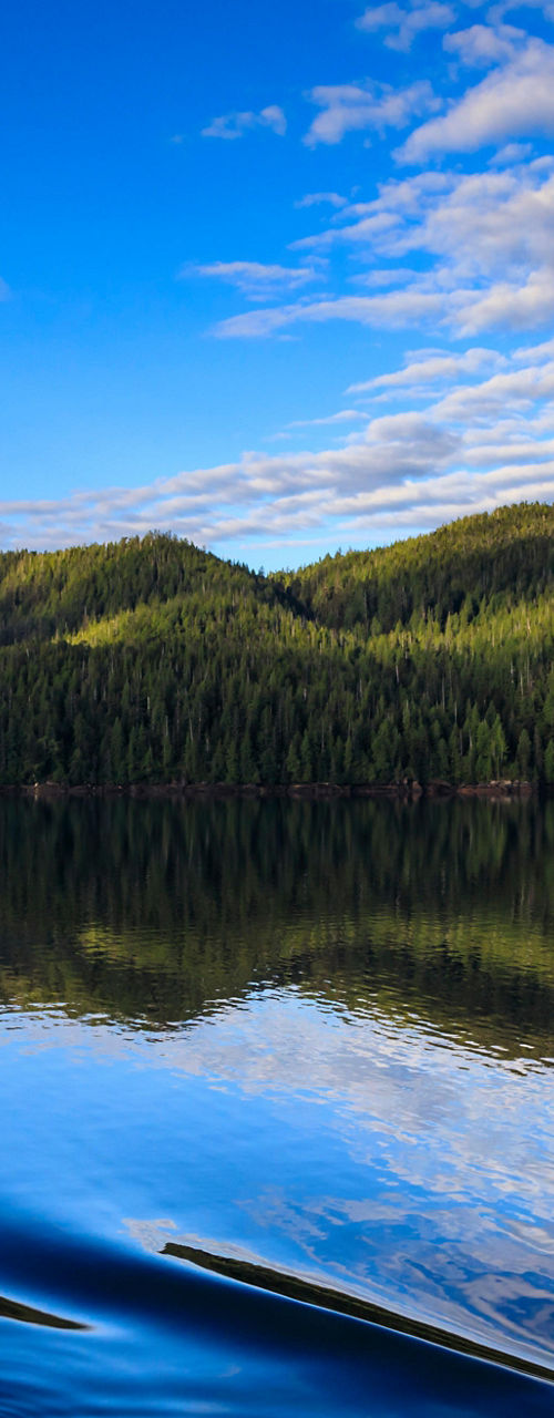 Serene lake with forested hills and ripples