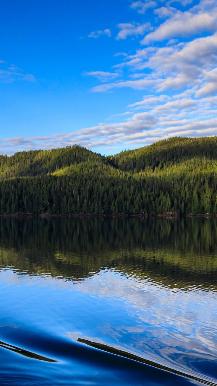 Cruise the Misty Fjords Through the Alaskan Wilderness