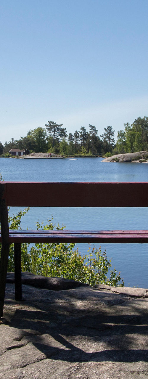 Wooden bench overlooking serene lake