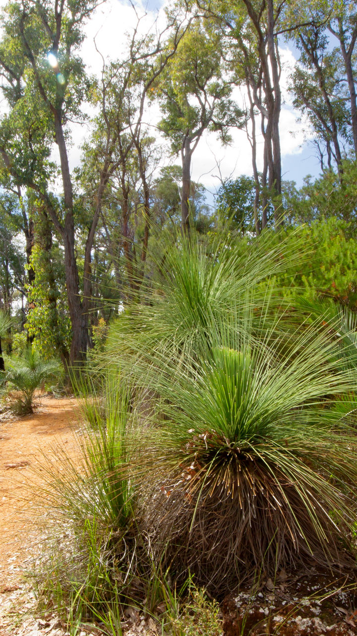 Bibbulmun Bushland Walk
