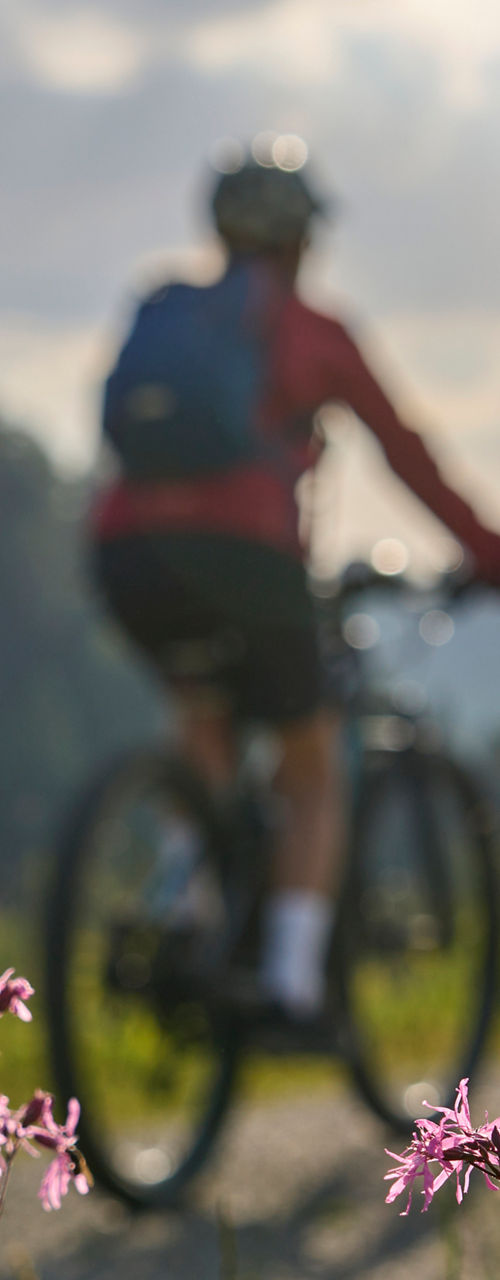 Cyclist on scenic trail with wildflowers