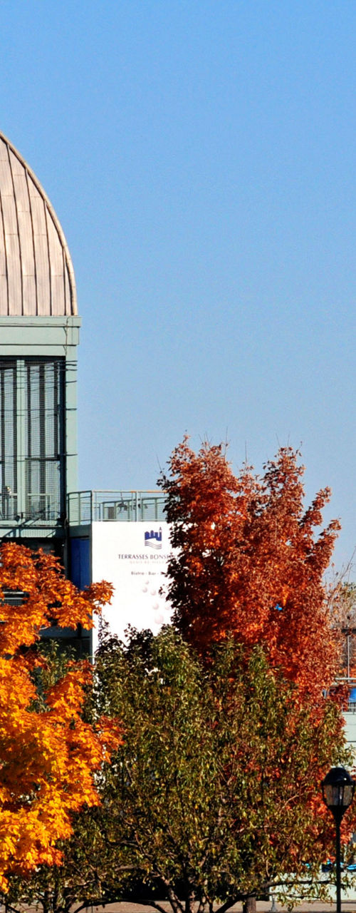 Autumn park with cyclist and observatory