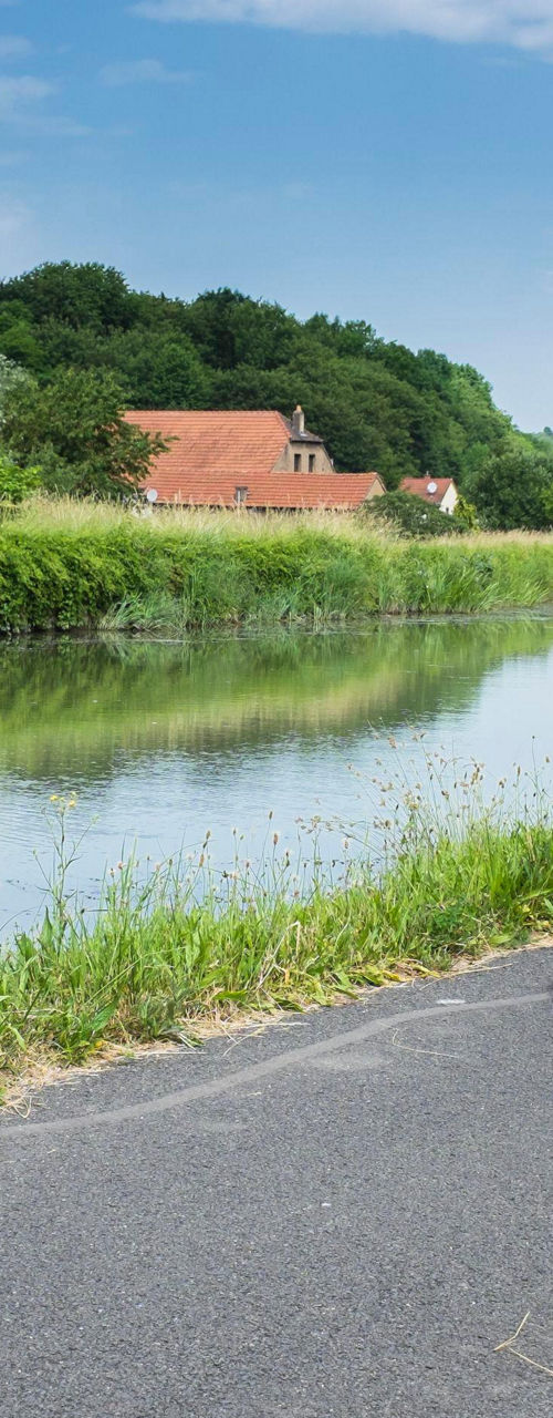 Cyclists riding along scenic riverside path