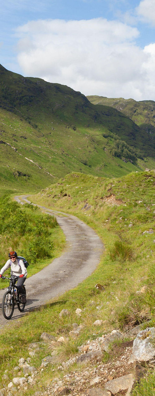 Cyclists on scenic mountain trail