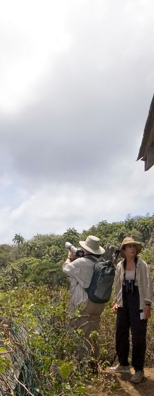 Group birdwatching at coastal lookout