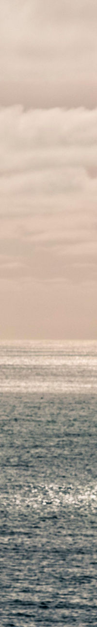 Two birds soaring over calm ocean