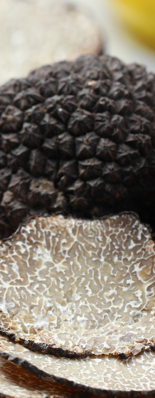 Fresh black truffles with sliced pieces
