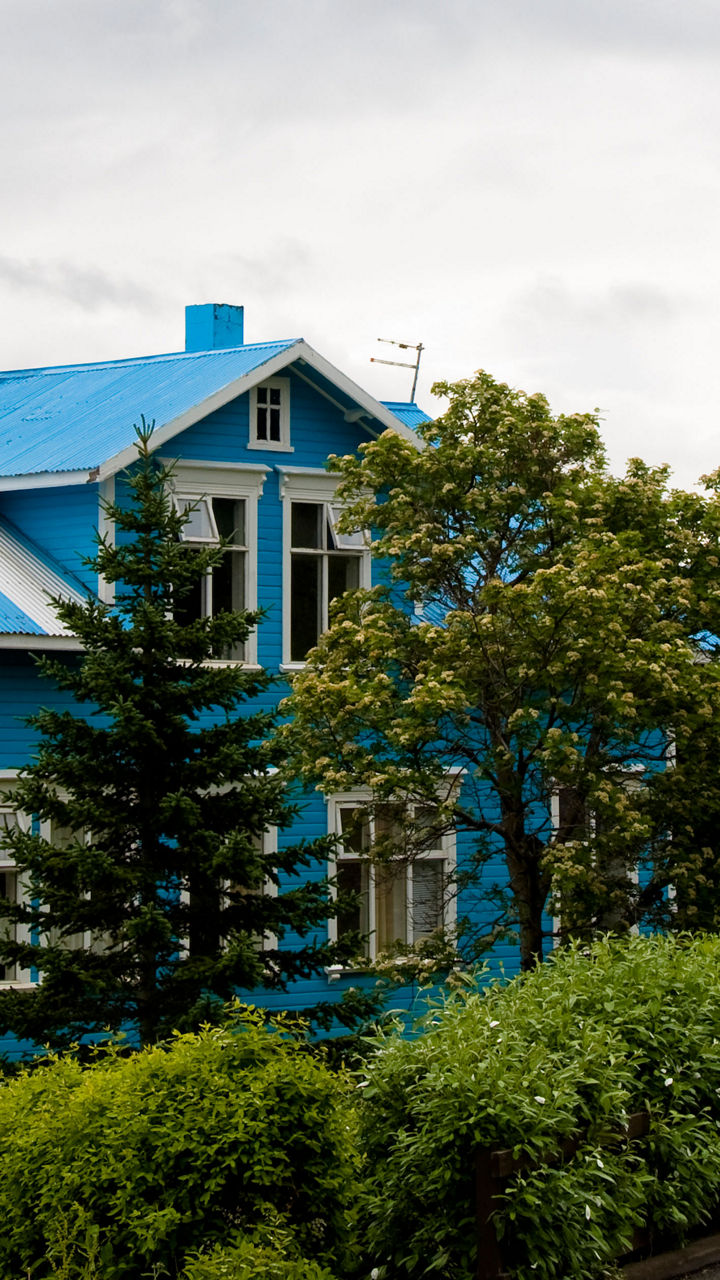 Home-Hosted Visit in Akureyri’s Old Town