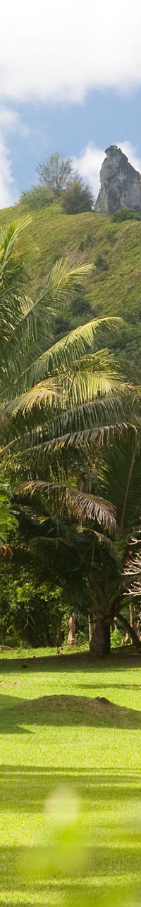 Tropical house surrounded by lush greenery
