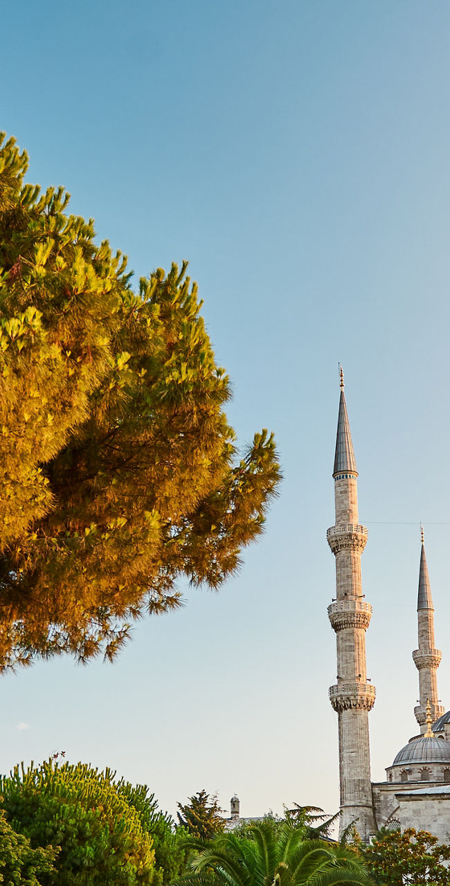 Blue Mosque with lush green park at sunset