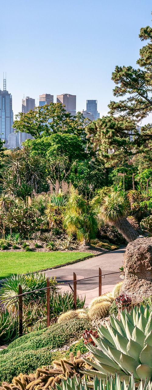Lush botanical garden with city skyline view