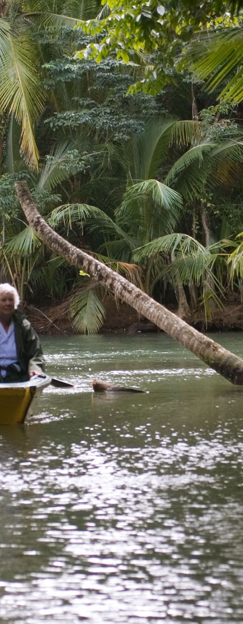 Group boating through tropical river scenery