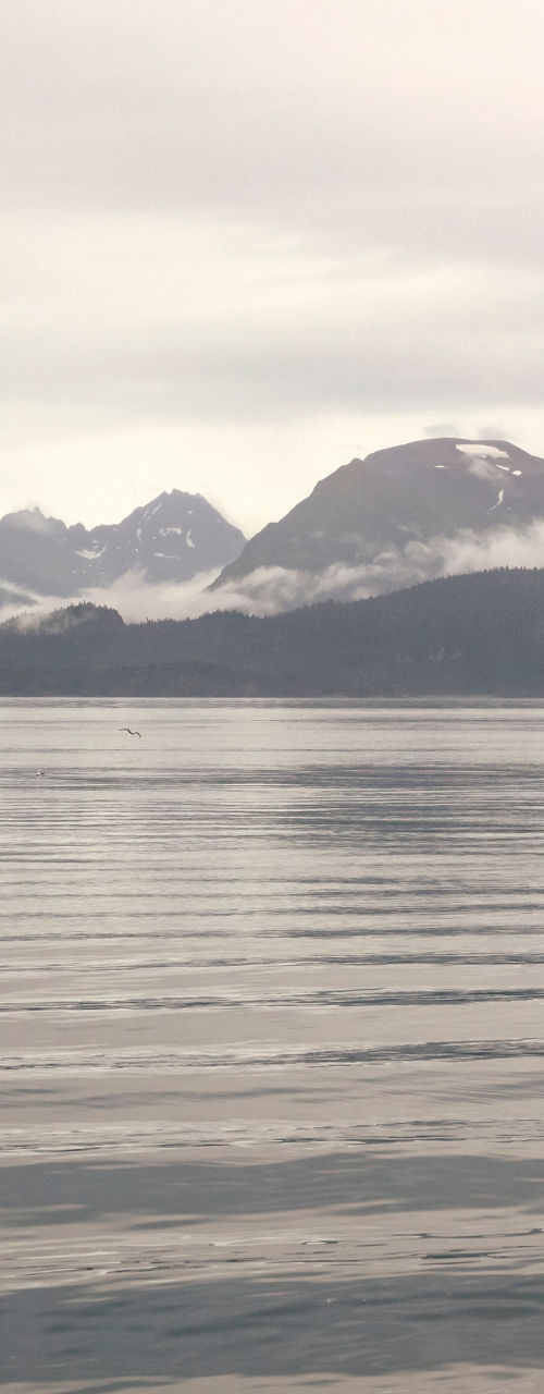 Fishing boat on calm misty waters