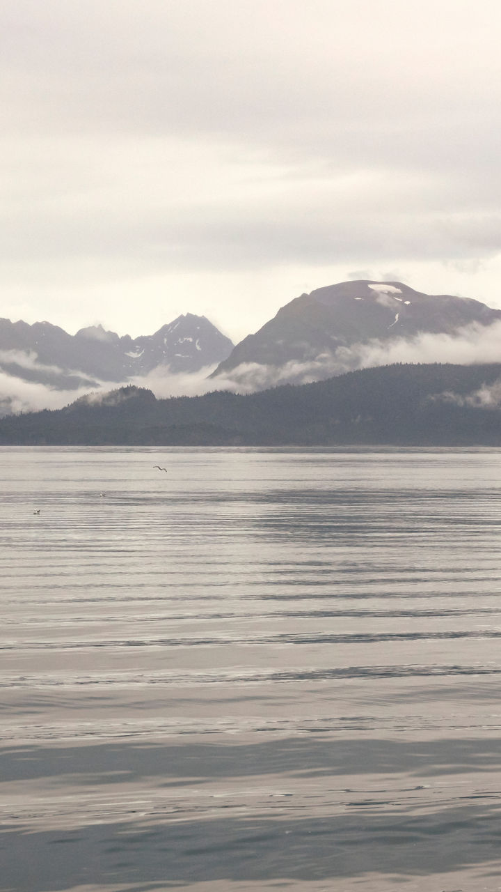 Kachemak Bay’s Highlights