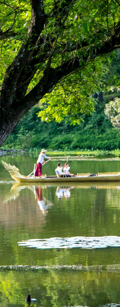 Traditional boats on serene forest lake