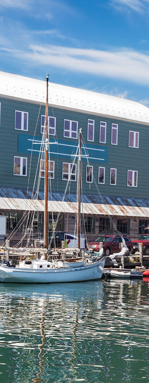 Colorful waterfront buildings and docked boats