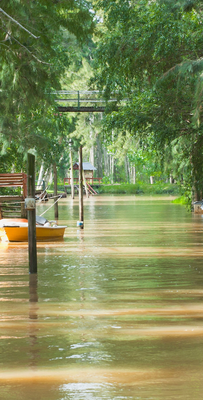 Serene river surrounded by lush greenery